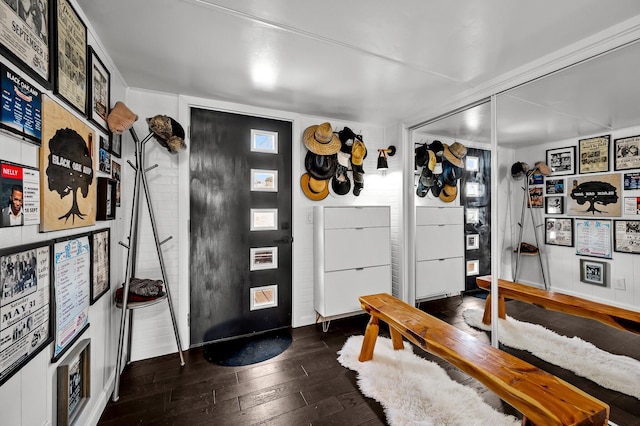 entryway featuring dark wood-type flooring