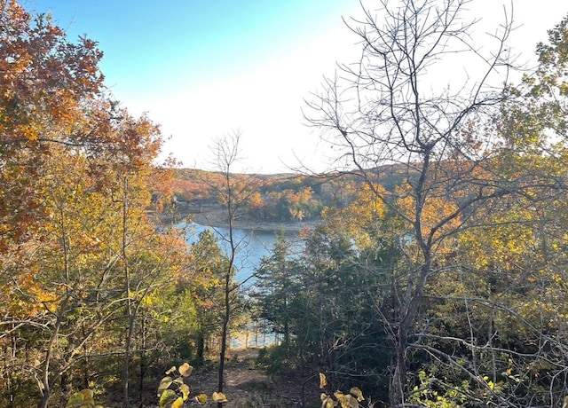 property view of water featuring a view of trees