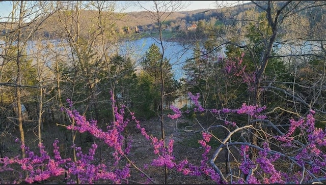 view of landscape featuring a water view and a wooded view