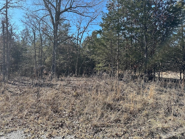 31 Elderberry Rd, Buffalo MO, 65622 land for sale