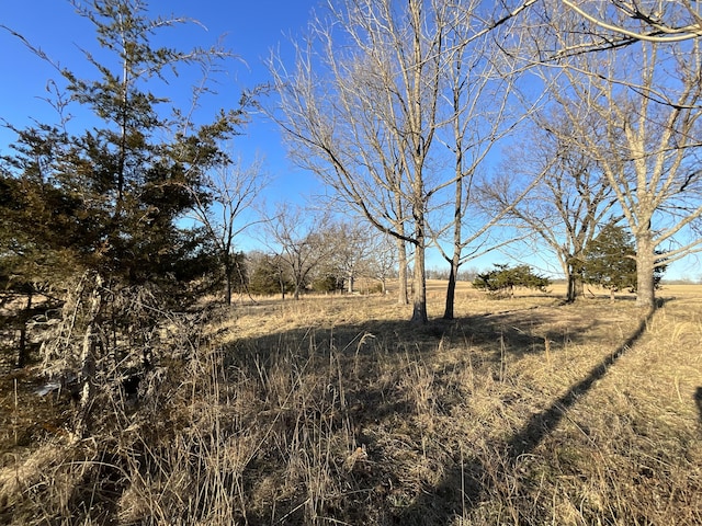 000 County Road 413, Alton MO, 65606 land for sale