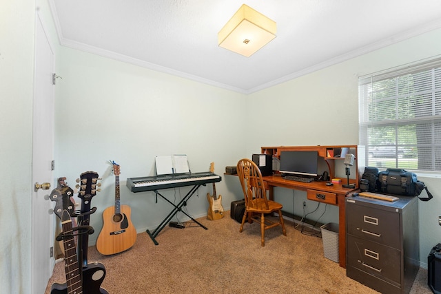 office space with carpet floors, crown molding, and baseboards