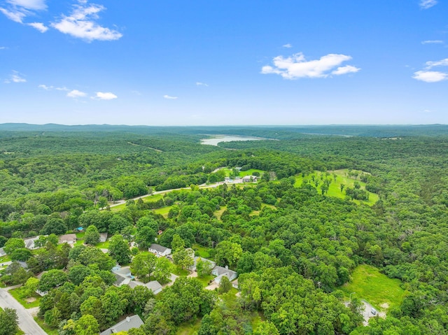 drone / aerial view featuring a forest view