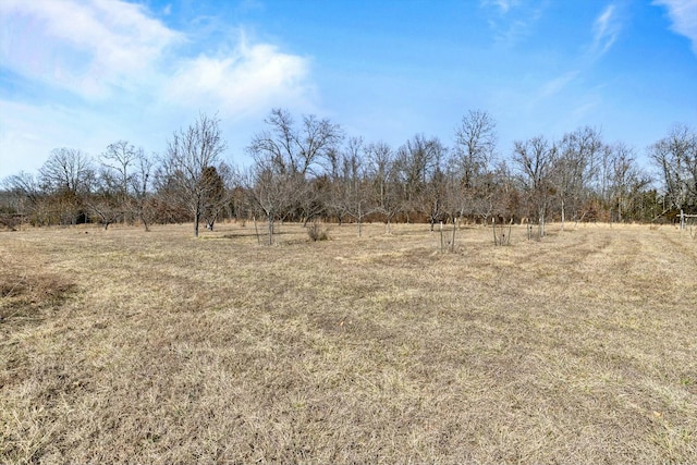 view of landscape featuring a rural view