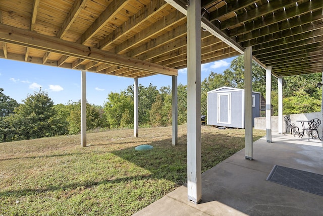 view of patio / terrace with a storage shed and an outdoor structure