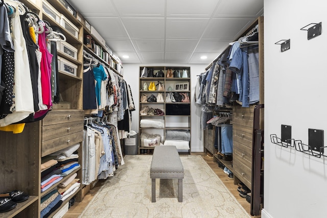 walk in closet featuring wood finished floors