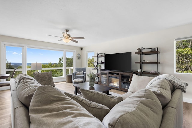 living area featuring a ceiling fan and wood finished floors