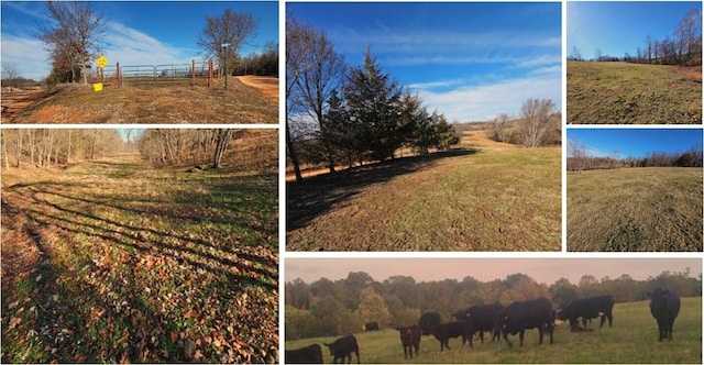 Listing photo 2 for 68.80ACRE Low Gap Rd, Noel MO 64854