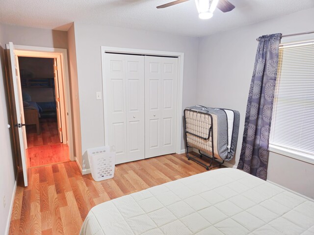 38RIPLEY Route E # U4-B, Doniphan, MO 63935 - photo 33
