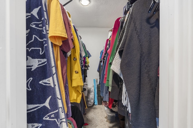 spacious closet with carpet flooring