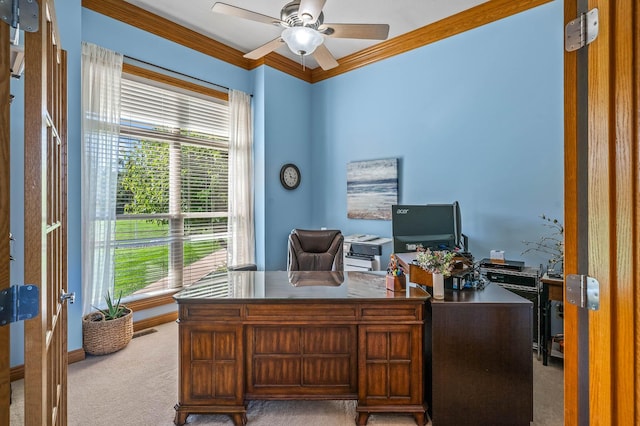 office space with carpet, visible vents, ornamental molding, and a ceiling fan