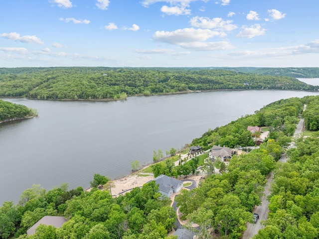 150 Sherwood Forest Ln, Ridgedale, MO 65739