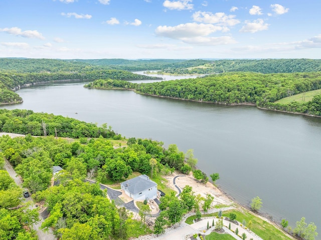 150 Sherwood Forest Ln, Ridgedale, MO 65739