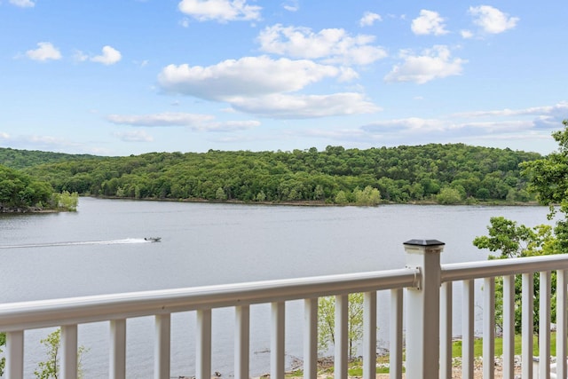 150 Sherwood Forest Ln, Ridgedale, MO 65739