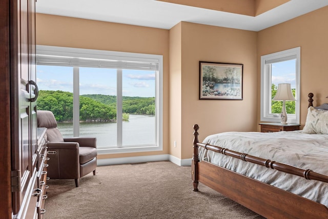 150 Sherwood Forest Ln, Ridgedale, MO 65739