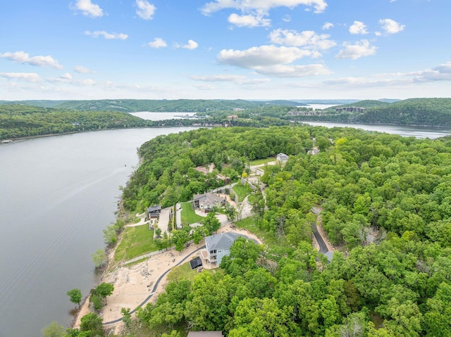 150 Sherwood Forest Ln, Ridgedale, MO 65739