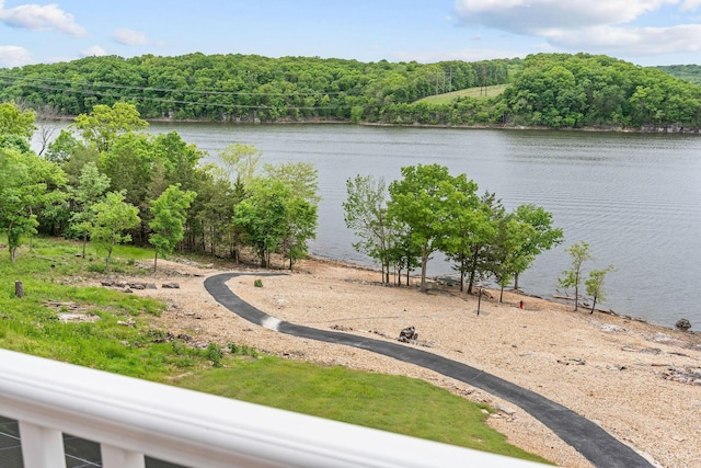 150 Sherwood Forest Ln, Ridgedale, MO 65739