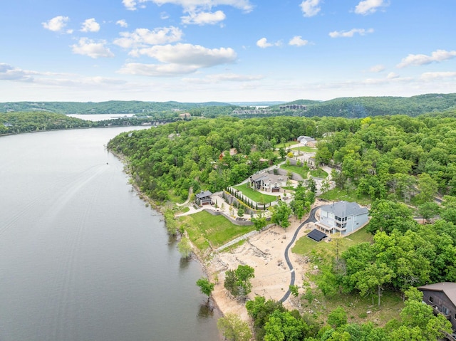 150 Sherwood Forest Ln, Ridgedale, MO 65739