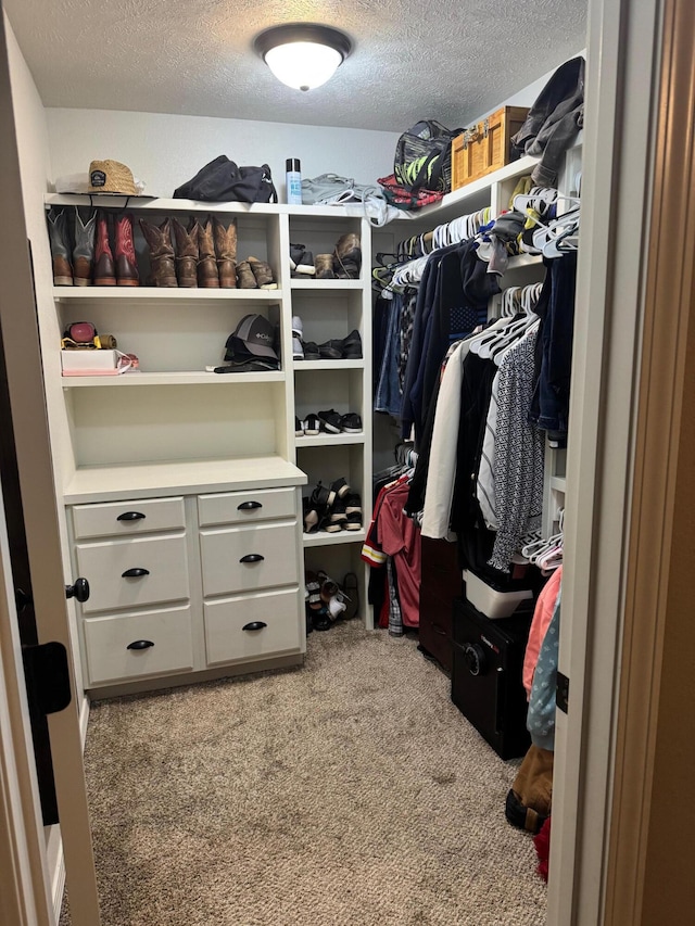 spacious closet featuring carpet flooring