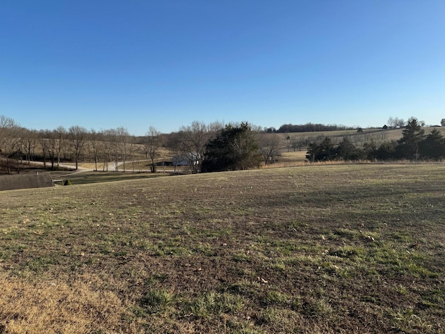 view of yard with a rural view