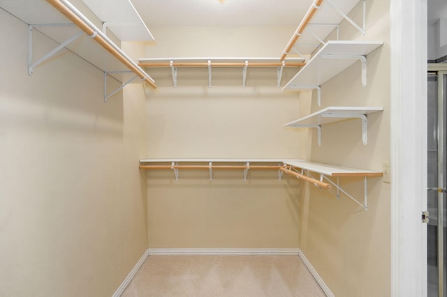 walk in closet with carpet flooring