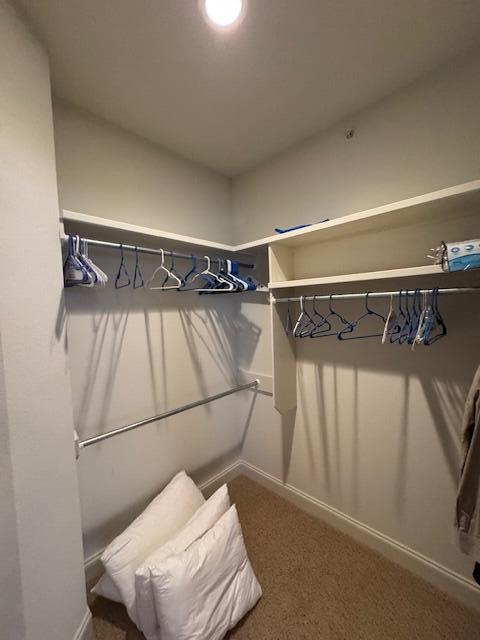 spacious closet with carpet