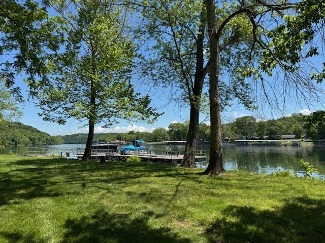 1413 Riverstone Dr, Branson, MO 65616 - photo 41