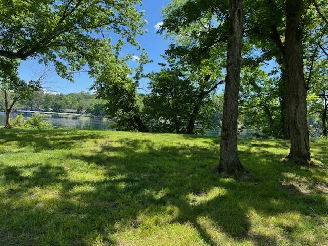 1413 Riverstone Dr, Branson, MO 65616 - photo 39