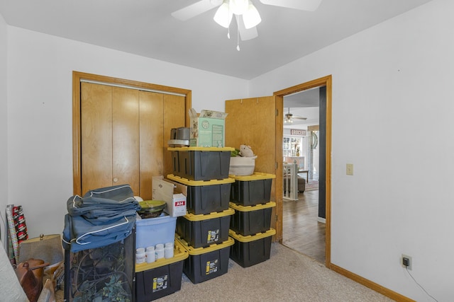 storage with ceiling fan