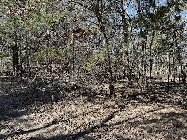 000 Hill Dr, Buffalo MO, 65622 land for sale