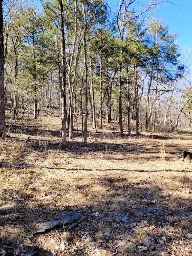 Listing photo 3 for 7.5ACRES Sycamore Church Rd, Branson MO 65616