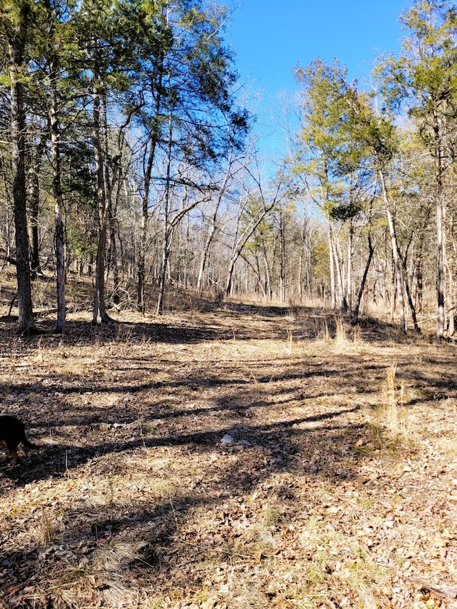 Listing photo 2 for 7.5ACRES Sycamore Church Rd, Branson MO 65616