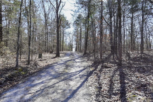 view of street featuring a view of trees