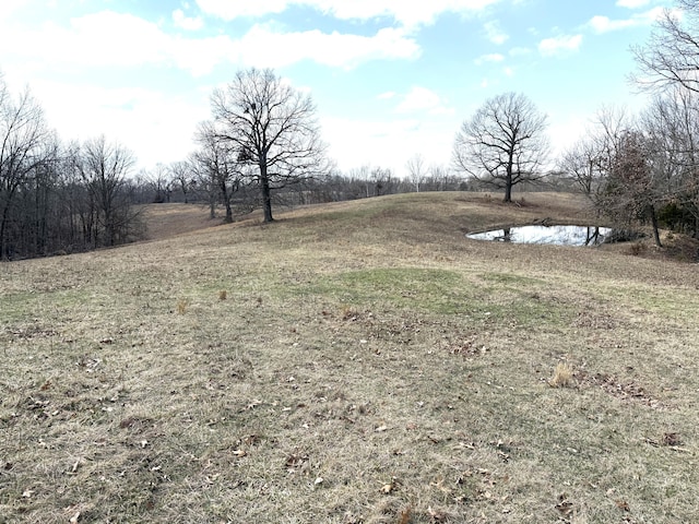 1006 Skaggs Hollow Rd, Pineville MO, 64856 land for sale