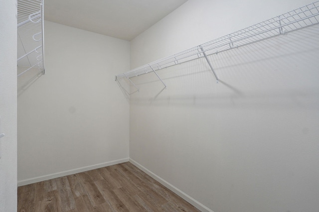 spacious closet featuring wood finished floors