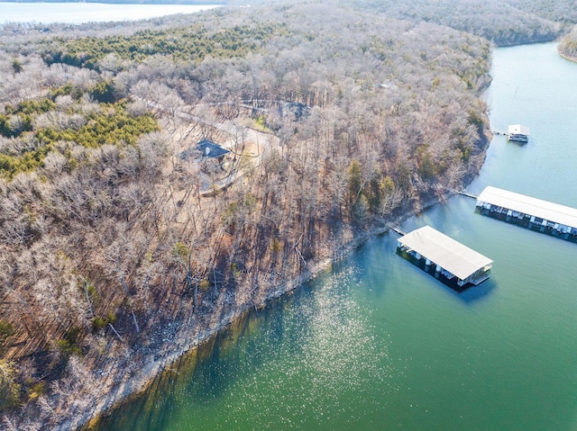 230 Temple Ln, Shell Knob, MO 65747 - drone / aerial view featuring a water view and a view of trees