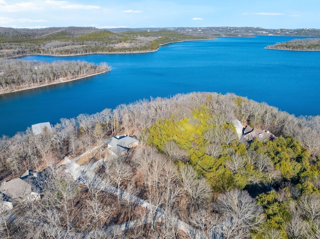 230 Temple Ln, Shell Knob, MO 65747 - birds eye view of property with a water view
