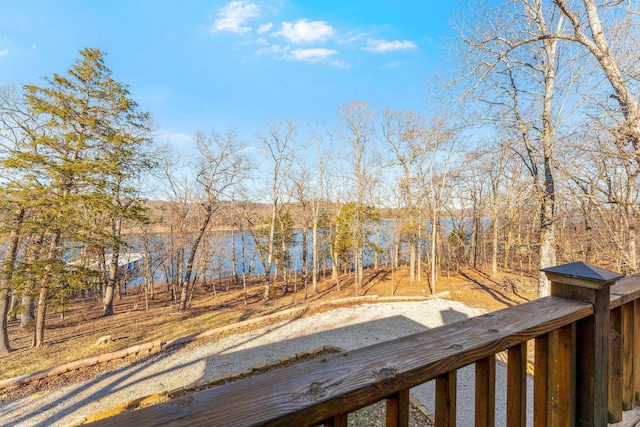 230 Temple Ln, Shell Knob, MO 65747 - view of yard