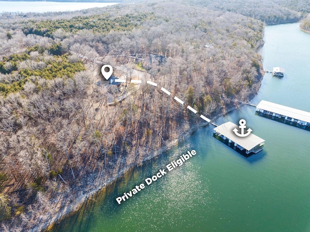 230 Temple Ln, Shell Knob, MO 65747 - drone / aerial view with a water view and a wooded view
