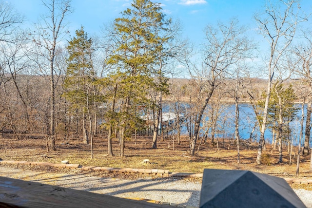 230 Temple Ln, Shell Knob, MO 65747 - view of water feature