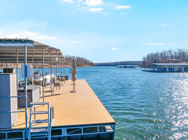 dock area featuring a water view