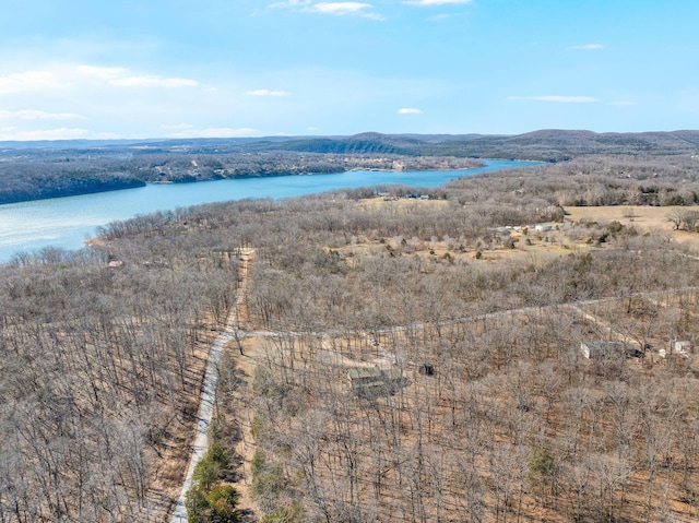 birds eye view of property with a water and mountain view