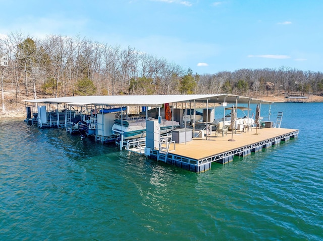 dock area with a water view