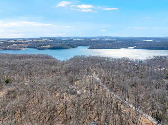 birds eye view of property featuring a water view and a wooded view