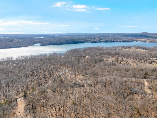 drone / aerial view with a water view and a view of trees