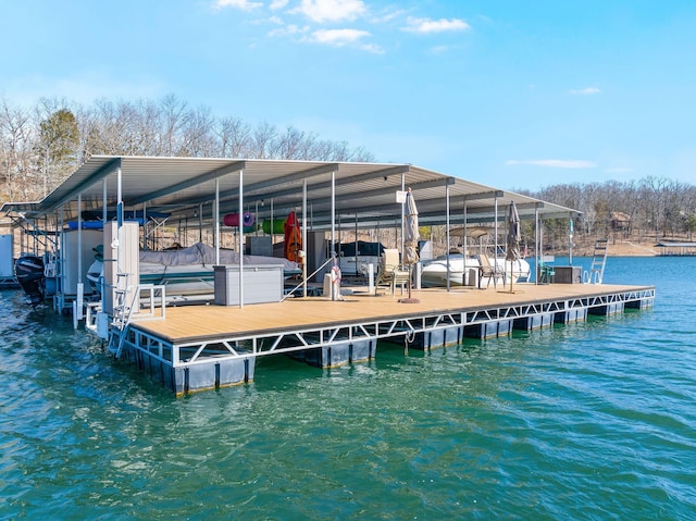 dock area with a water view