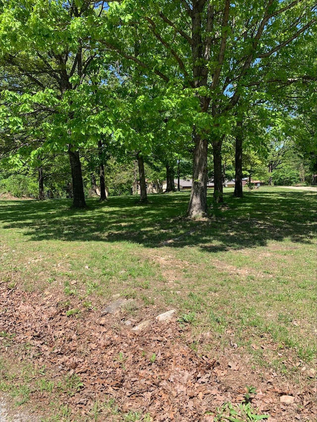 3894 Girlstown Rd, Mountain Grove, MO 65711 - view of grassy yard