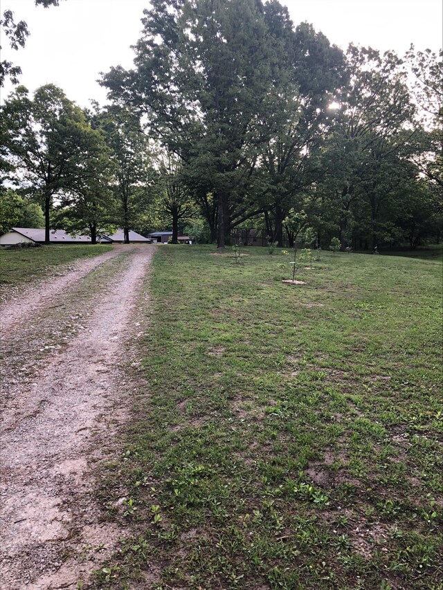 3894 Girlstown Rd, Mountain Grove, MO 65711 - view of dirt / gravel road
