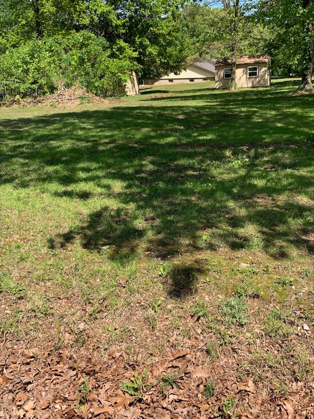 3894 Girlstown Rd, Mountain Grove, MO 65711 - view of green lawn
