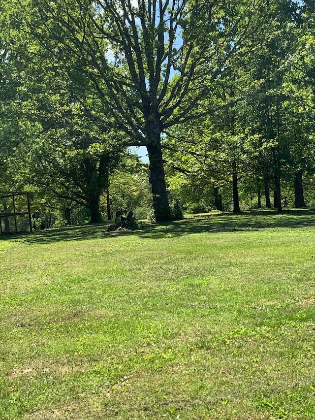 3894 Girlstown Rd, Mountain Grove, MO 65711 - view of green lawn